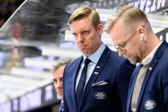 HV71s tränare Anton Blomqvist