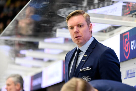 HV71s tränare Anton Blomqvist
