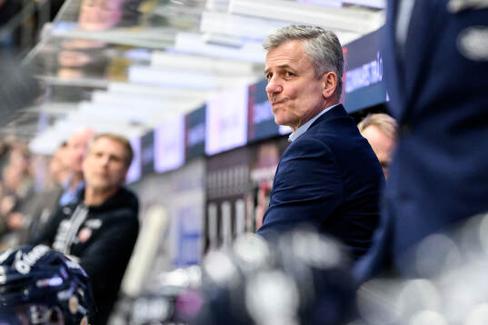 HV71s assisterande tränare Fredrik Stillman
