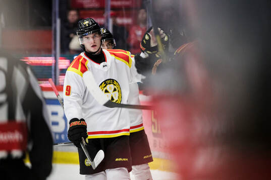Brynäs Victor Söderström jublar