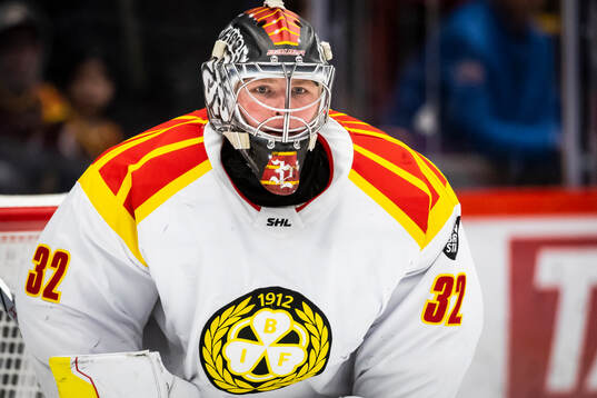 Brynäs målvakt Ludvig Persson