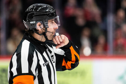 Domare Mikael Sjöqvist
