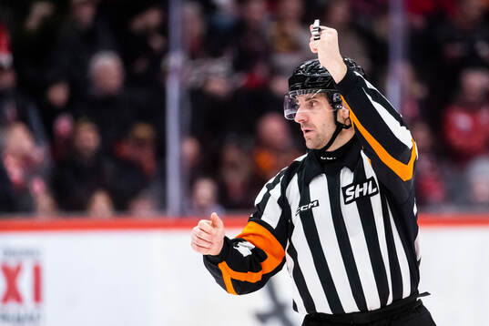Domare Mikael Sjöqvist