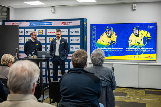 Damkronornas förbundskapten Ulf Lundberg