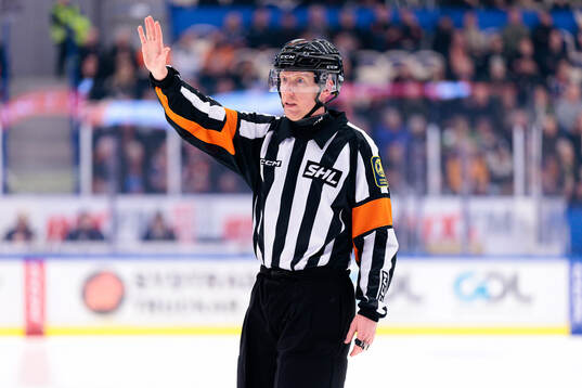 Domare Mikael Holm