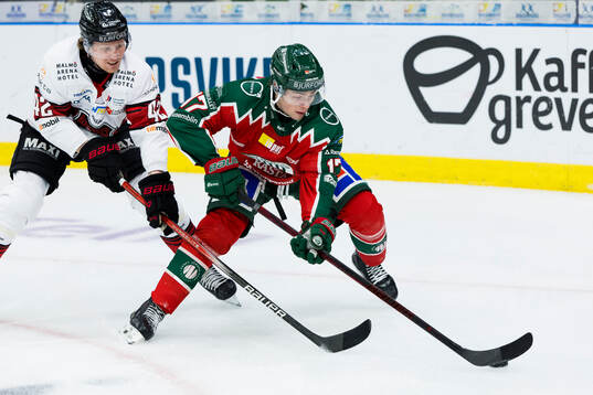 Malmö Redhawks Robin Salo och Frölundas Isac Born