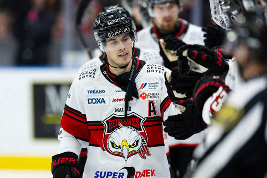 Malmö Redhawks Henrik Haapala jublar
