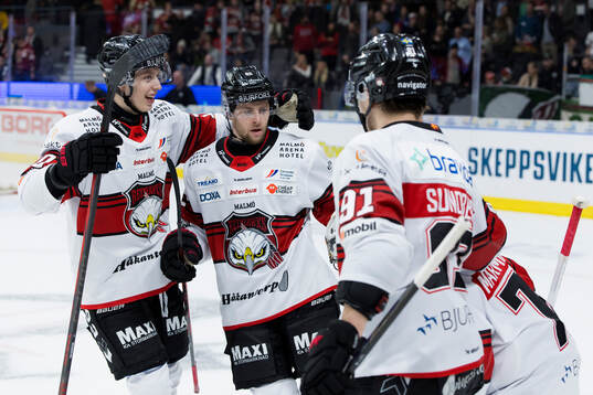 Malmö Redhawks spelare jublar