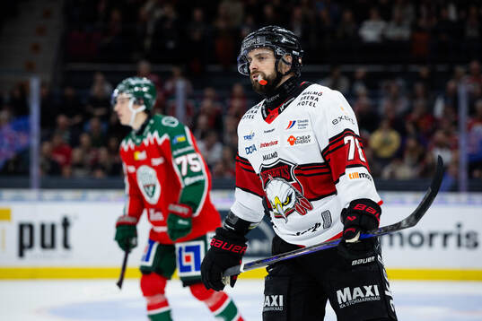 Malmö Redhawks Robin Hanzl