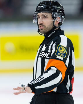 Domare Mattias Enroth
