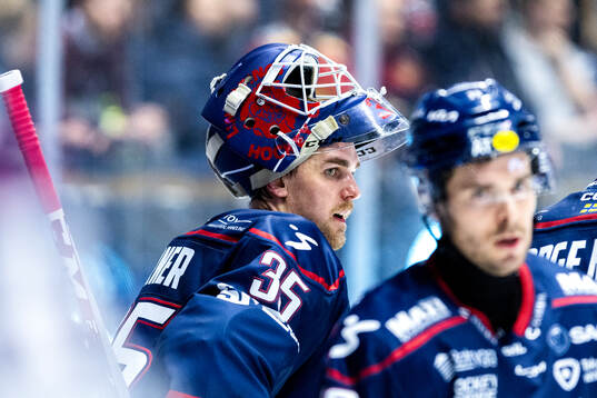 Linköpings målvakt Adam Werner