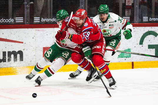 Timrås Filip Hållander och Rögles Filip Johansson