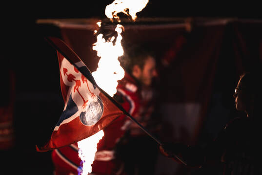 Timråflagga