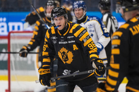Skellefteås Rickard Hugg