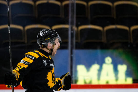 Bläddra bland fler bilder av Ishockey, SHL, Skellefteå - Leksand