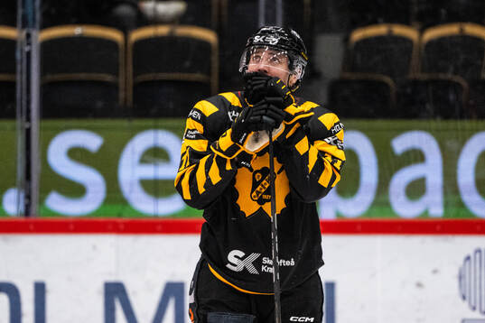Skellefteås Max Lindholm deppar