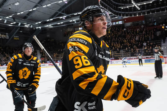 Skellefteås Rickard Hugg jublar