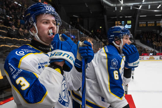 Leksands Fred Nilsson och Alexander Lundqvist deppar
