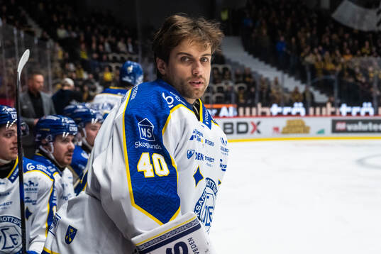 Leksands målvakt Mantas Armalis