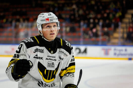 Västerås Anton Johansson jublar