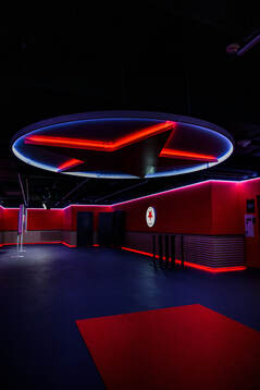 General view of Eden Arena