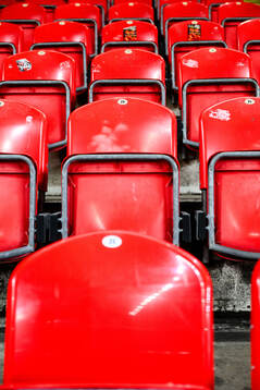 General view of Eden Arena