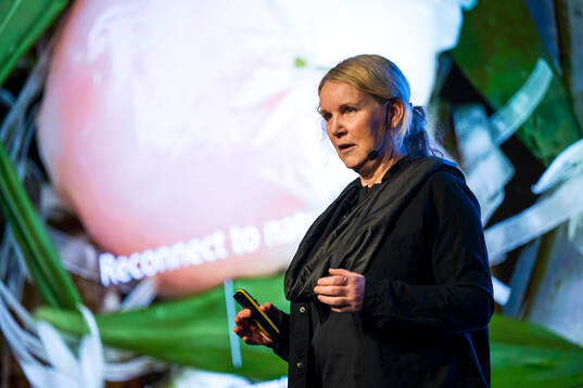 Eva Karlsson, VD Houdini