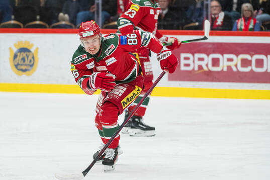 Modos Lukas Jasek