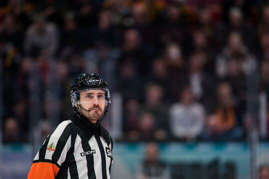 Domare Mattias Enroth