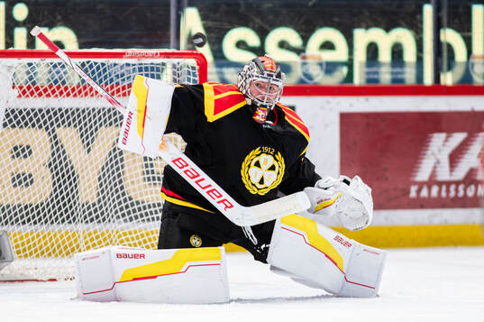 Brynäs målvakt Ludvig Persson