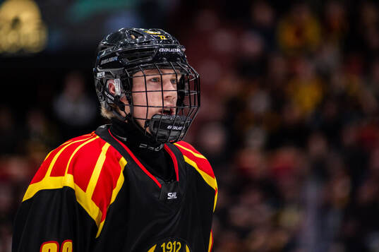 Brynäs Leo Sundqvist