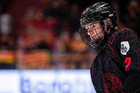 Brynäs Leo Sundqvist
