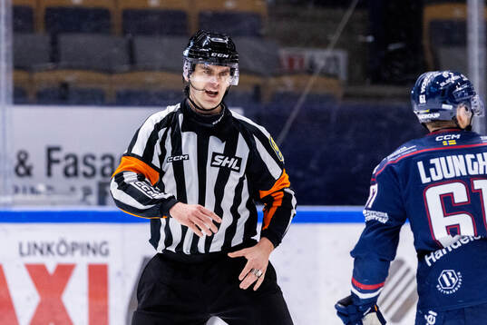 Domare Richard Magnusson