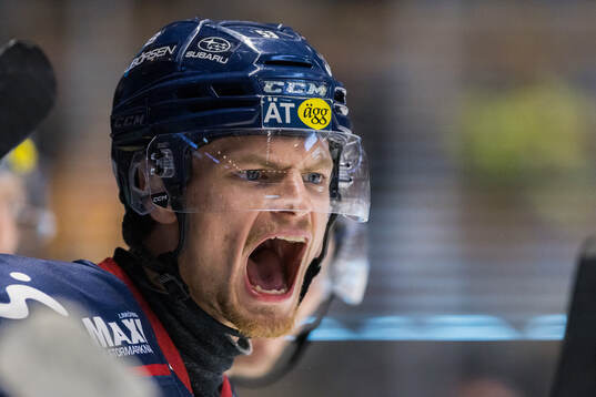 Linköpings Adam Hofbauer reagerar
