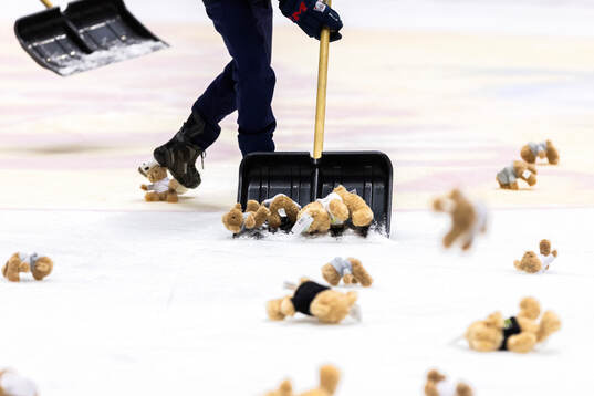 Teddy Bear Toss