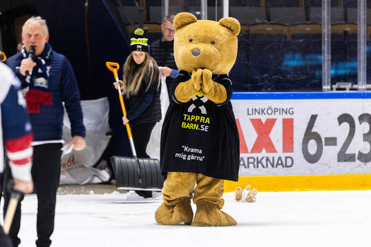 Teddy Bear Toss