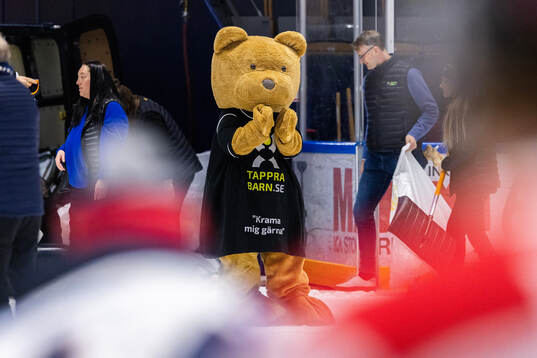 Teddy Bear Toss