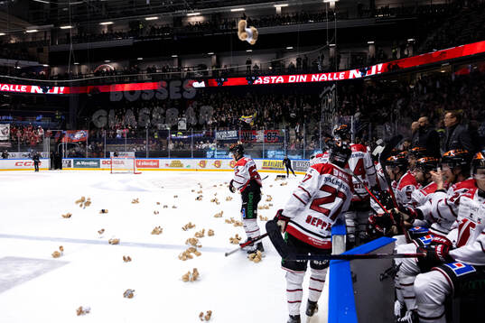 Bläddra bland fler bilder av Ishockey, SHL, Linköping - Örebro
