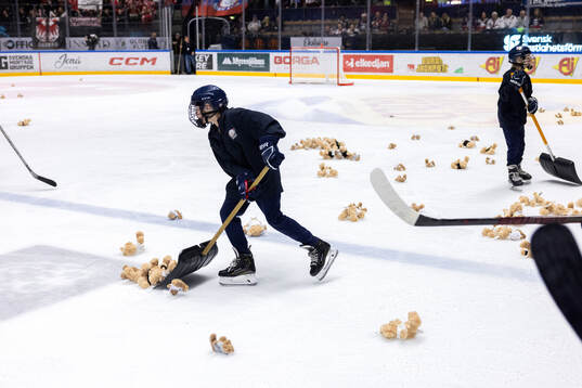 Teddy Bear Toss