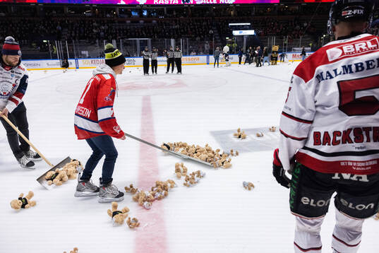 Teddy Bear Toss