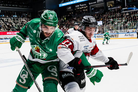 Rögles Josh Dickinson och Malmö Redhawks Nikola Pasic