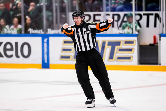 Domare Mikael Holm