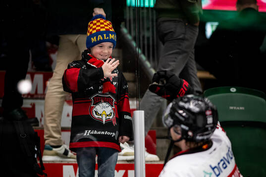 Bläddra bland fler bilder av Ishockey, SHL, Rögle - Malmö Redhawks
