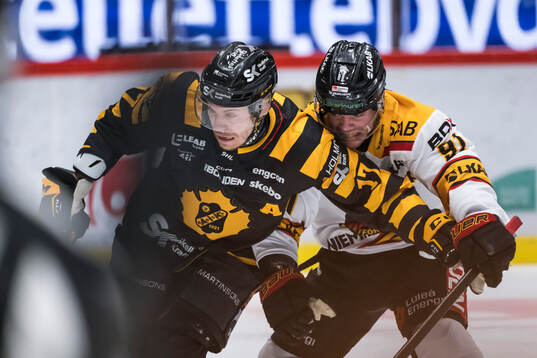 Skellefteås Pär Lindholm och Luleås Brian O'neil