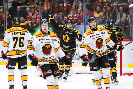 Skellefteås Martins Dzierkals ublar