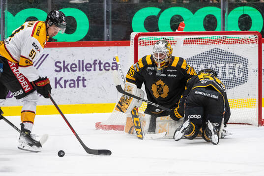 Skellefteås målvakt Gustaf Lindvall