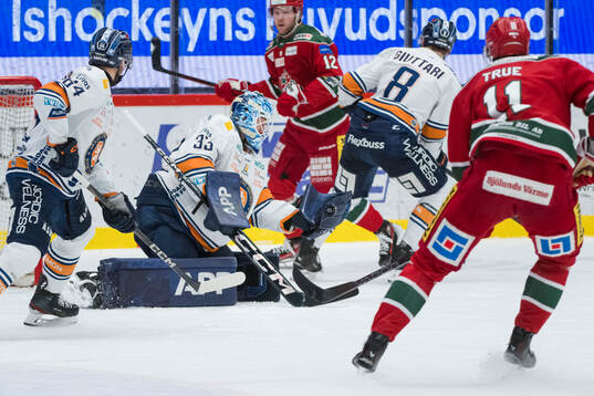 Växjös målvakt Emil Larmi