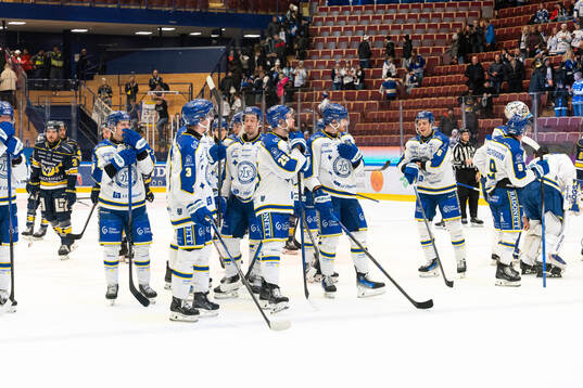 Leksands spelare jublar