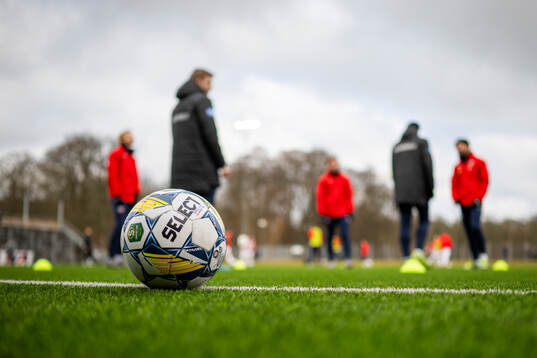 En fotbollsboll