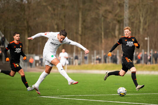Helsingborgs Ervin Gigovic